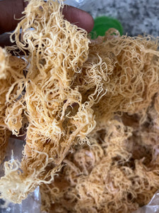 Raw Natural Sea Moss