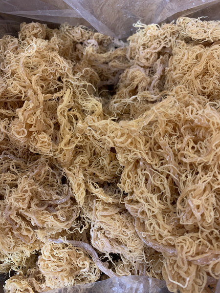 Raw Natural Sea Moss